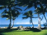 Photo of Comfort Resort Blue Pacific Mackay