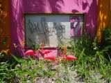 Photo of Pink Flamingo Resort