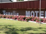Photo of Camellia Motel
