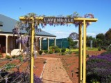 Photo of Lavendale Farmstay and Cottages York