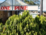 Photo of Lone Pine Motel