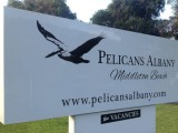 Photo of Pelicans Albany Middleton Beach
