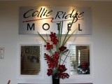 Photo of Collie Ridge Motel