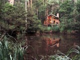 Photo of Woodlands Rainforest Retreat